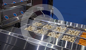 Food packing machine