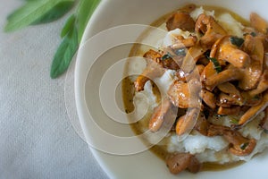 Food photography of creamy polenta with chantrelle mushrooms in an apricot sauce