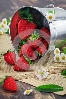 Food Photography strawberries in a small tin