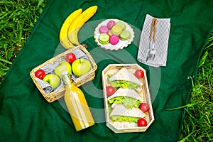 Food for picnic on tablecloth on green grass. Meal outdoor concept. Sandwiches, vegetables, sweets, drinks top view