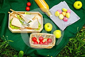 Food for picnic on tablecloth on green grass. Meal outdoor concept. Sandwiches, vegetables, sweets, drinks top view copy