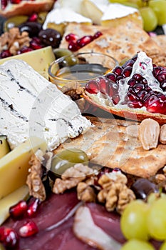 Food Platter With Truffle Cheese, Duck Breast, Brie Cheese, Pecan Nuts, Pomegranate Seeds, Grapes, Almonds, Honey, Olives