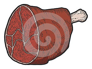 Food, pork knuckle. Sketch scratch board imitation color.