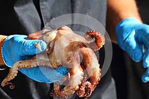 Food preparation, grilled octopus