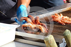 Food preparation, grilled octopus