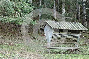 Food prepared in a manger for deers during winter in the forest