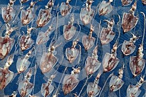 Food preservation, Dried squid on the net tray