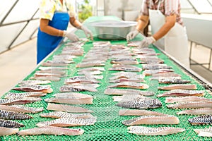 Food preservation by fish drying. Dried Tilapia. Food processing of fishermen in Thailand