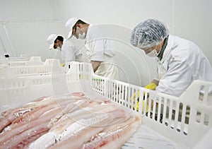 Food processing