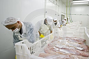 Food processing