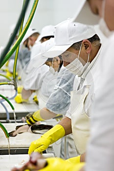 Food processing line