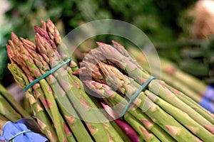 Food products, close up of a group of asparagus