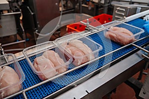 Food products meat chicken in plastic packaging on the conveyor.Factory for the production of food from meat.Meat processing photo