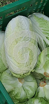 Food produse vegetable dish