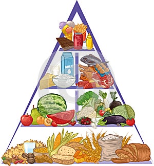 Food pyramid