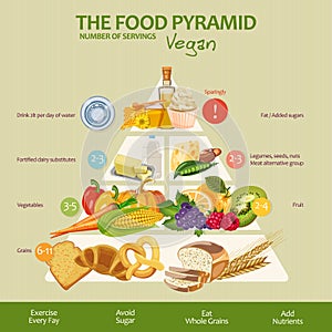 Food pyramid healthy vegan eating infographic. Recommendations of a healthy lifestyle. Icons of products. Vector illustration