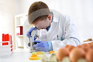 Food quality control expert inspecting at chicken eggs