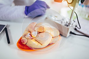 Food quality control expert inspecting at meat specimen