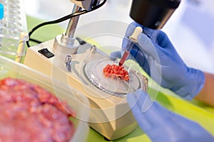 Food quality control expert inspecting at meat specimen in the l