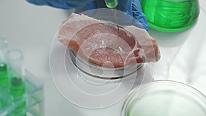 Food quality control expert inspecting at meat specimen in the laboratory.