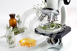 Food quality control in the laboratory rosemary