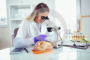 Food quality female control expert inspecting at meat specimen