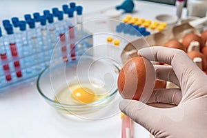 Food quality testing concept. Scientist is holding egg in hand in laboratory.