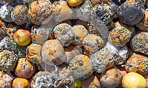 Food rotten fruit apple texture