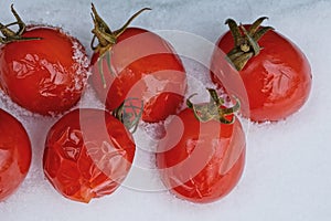 Food from a row of red canned tomatoes