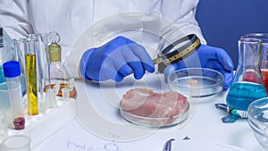 Food safety expert inspecting red meat in laboratory