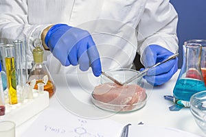 Food safety expert inspecting red meat in laboratory