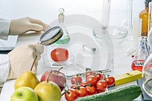 A food safety inspector checks vegetables and fruits from the market.