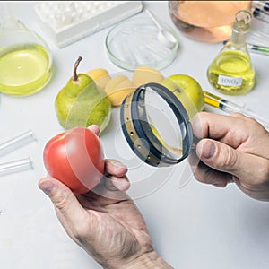 The food safety inspector is testing fruit from the market. Holds a magnifying glass in his hand