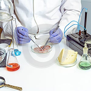 Food safety inspector working in laboratory. Healthy food concept.