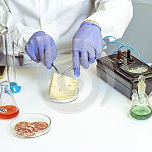 Food safety inspector working in laboratory. Healthy food concept.