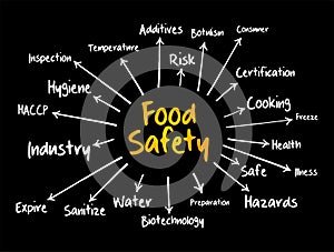 Food safety mind map flowchart, concept for presentations and reports