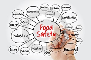 Food safety mind map flowchart with marker, concept for presentations and reports