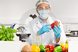 Food scientist examining a pepper