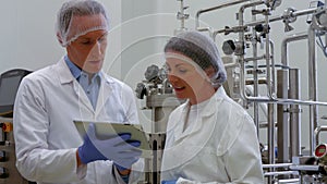 Food scientists working together in lab