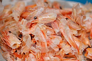 Food scraps from Shrimp peeled on the plastic plate