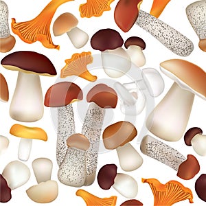 Food seamless pattern. Mushroom isolated on white background. photo
