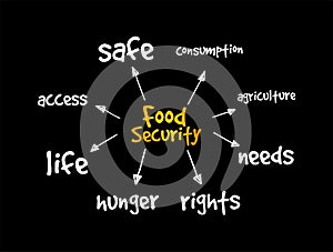 Food Security is the measure of an individual`s ability to access food that is nutritious and sufficient in quantity, mind map
