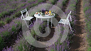 Food served on table in lavender field.