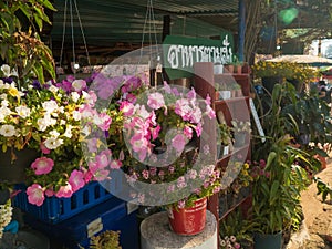 Food shop at Baan Rong gra photo