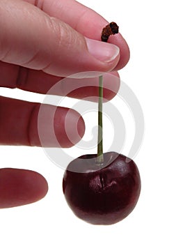 Food: Single Cherry