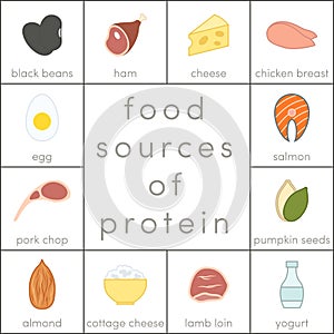 Food sources of protein