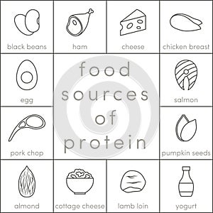 Food sources of protein