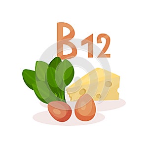 Food sources of vitamin B12 green spinach, chicken eggs and cheese. Natural and healthy food. Flat vector design