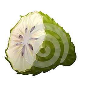 Food soursop icon cartoon vector. Fruit juice