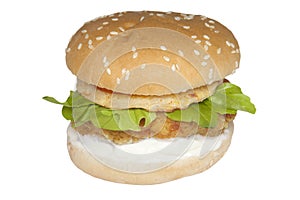 Food Stock chicken burger